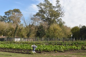 Huerta Municipal de Ingeniero Maschwitz