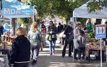 En Tigre se llevó a cabo Mercados Bonaerense para promover la economía social