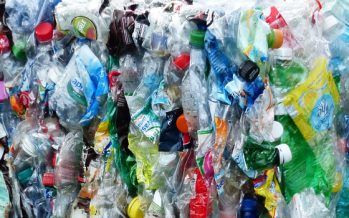 Los residuos plásticos son el segundo grupo de importancia de la basura