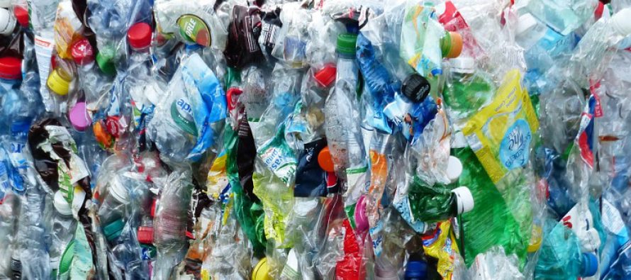 Transformar residuos: una alternativa sustentable para revalorizar el plástico post consumo