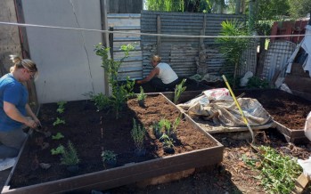 Tigre: una cooperativa construyó una huerta de madera reciclada en un merendero