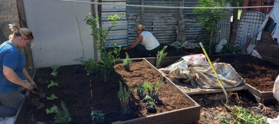 Tigre: una cooperativa construyó una huerta de madera reciclada en un merendero