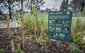 Puntos Huerta: la propuesta de Escobar para promover huertas de pequeña escala
