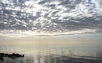 En marcha el Programa Nacional de Prevención del Riesgo Ambiental