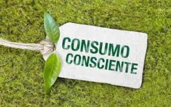 Nuevas formas de consumo a partir de una mayor concientización ambiental