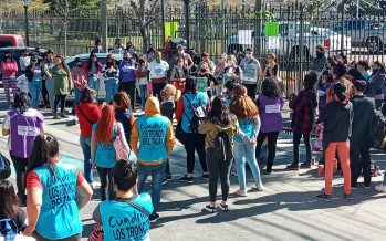 Tigre: ambientalistas reclaman la creación de reservas naturales