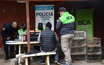 La Brigada de Control Ambiental rescató aves silvestres en Pilar