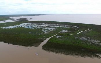 Concurso para elegir nombres para las islas de San Isidro