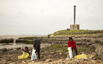 Voluntarios se reunieron para limpiar la costa de San Isidro