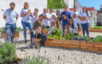 San Fernando lanzó la 4ta edición de Huerta en Casa: ¿Cómo obtener las semillas?