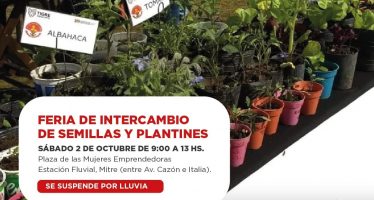 Intercambio de semillas y plantines en la feria “Mujeres Emprendedoras” en Tigre