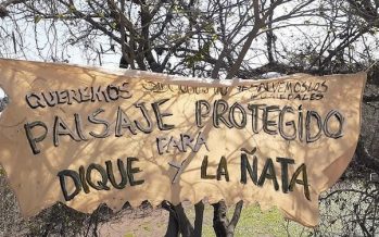 La aparición masiva de carpinchos aviva el debate sobre la ley de humedales