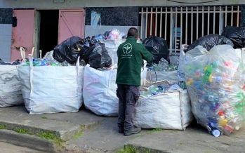 Día de la Conciencia Ambiental: San Fernando y las murgas continúan reciclando en distintos barrios