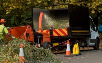 El INTI avanza en propuestas para la reinserción de los residuos verdes en las economías locales