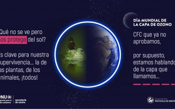 Día Internacional de la Preservación de la Capa de Ozono