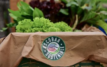 Expo Escobar contará con espacios exclusivos para impulsar debates y políticas ambientales