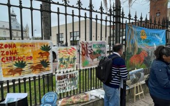 “Pedimos que cualquier persona que venga a Tigre pueda disfrutar de un espacio verde público”