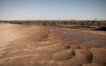 Se tomarán muestras para evaluar la presencia de cianobacterias en la región del río Paraná