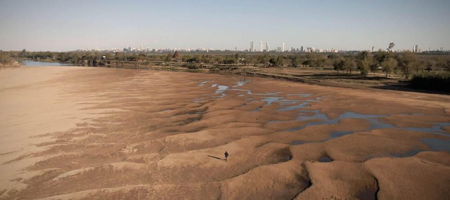 Se tomarán muestras para evaluar la presencia de cianobacterias en la región del río Paraná