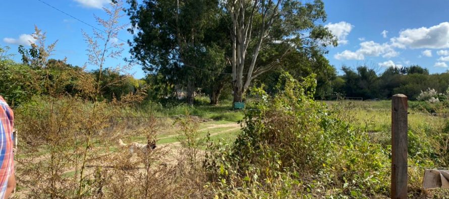 Activistas y vecinos movilizan por la creación de una Reserva Natural en Tigre