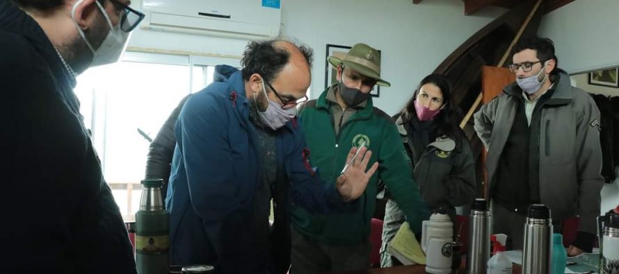 Proyecto de investigación en islas del Delta del Paraná para la ganadería sostenible