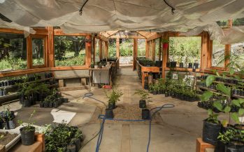 Creación del Programa de Viveros y Centros Botánicos