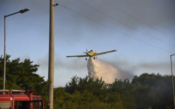 El incendio en el Parque Nacional Ciervo de los Pantanos está controlado