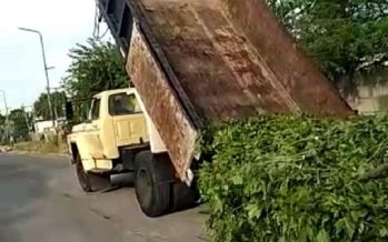 San Isidro: ¿Cómo y dónde denunciar las descargas clandestinas de basura?