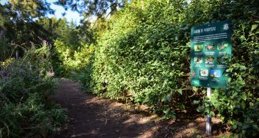 Escobar Sostenible: la Municipalidad convoca a la comunidad a diseñar un mapa virtual de biocorredores
