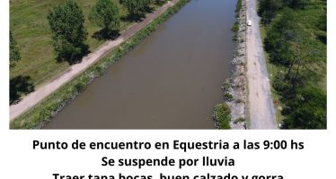 Organizaciones ambientales convocan a una jornada de limpieza en Tigre