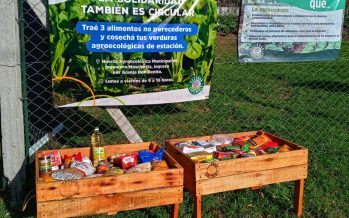 Escobar: Los vecinos que donen alimentos pueden acceder a la cosecha de la huerta municipal