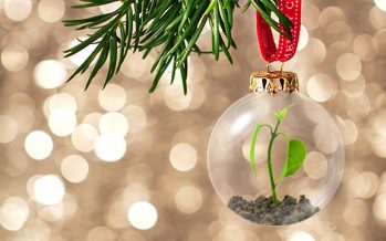 ¿Cómo hacer para vivir unas fiestas más sustentables?