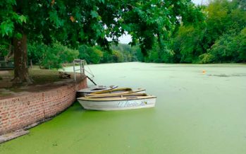 Continúan los trabajos de monitoreo de la calidad del agua del Río Luján
