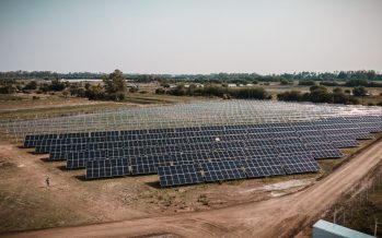 Loma Verde: ya se colocaron la mitad de los paneles solares del primer parque solar municipal de la Argentina