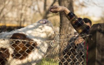¿Qué hacer este fin de semana en San Isidro?