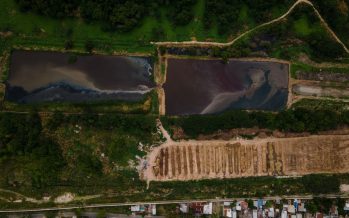 Agustina Ciarletta: “La ausencia de políticas de control ambiental generan daños irreversibles”