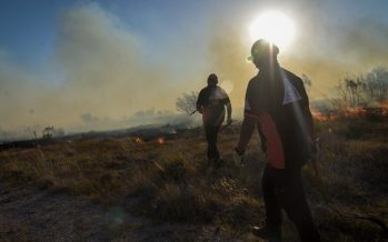 Incendios forestales: cómo se encuentran los focos de Zárate y Campana