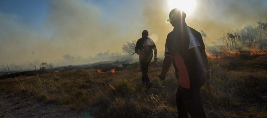Incendios forestales: cómo se encuentran los focos de Zárate y Campana