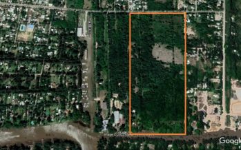 Vecinos de Dique Luján alertan por la construcción de un emprendimiento inmobiliario