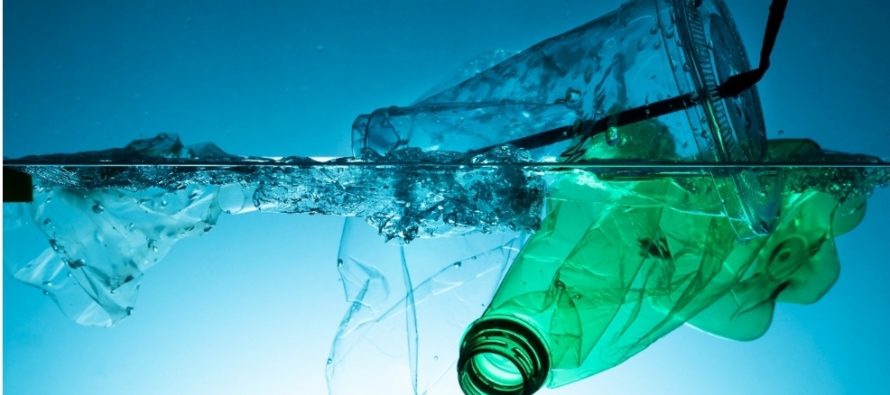 El Municipio de Tigre prohíbe el plástico de un solo uso