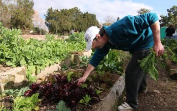 San Isidro: abierta la inscripción para el curso de huertas agroecológicas