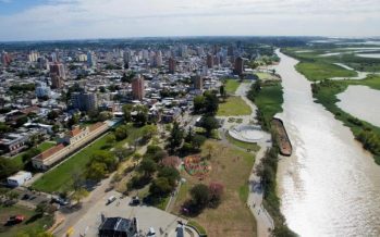 San Nicolás: denuncian desmonte ilegal de bosque nativo en el Delta del Paraná
