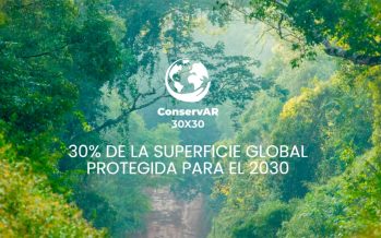 Lanzan campaña para proteger al menos un tercio del planeta para 2030