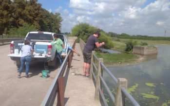 Concluye muestreo de verano de calidad de agua en el Río Reconquista
