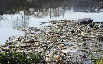Cerca del 50 por ciento de los residuos extraídos del Riachuelo fueron plásticos
