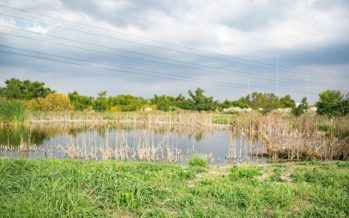 Dos proyectos científico-tecnológicos para la Cuenca del Río Reconquista