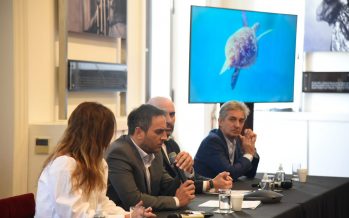 Presentaron los puntos centrales de un proyecto de ley sobre bienestar animal