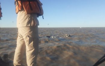 Prefectura auxilió a dos navegantes en Olivos