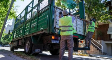 Alternativas para el tratamiento de residuos especiales domiciliarios en Vicente López