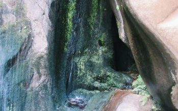 Mes del Ambiente: ¿Por qué se celebra en junio?